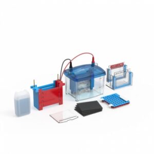 Vertical Electrophoresis System